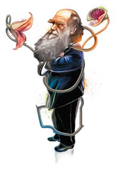 Breve encuentro con la evolución