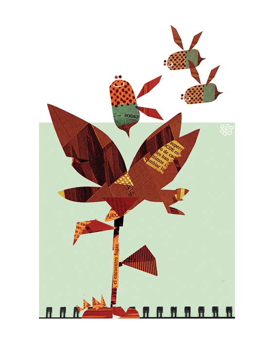 Cuando el tamaño sí importa: dimorfismo entre géneros del reino animal