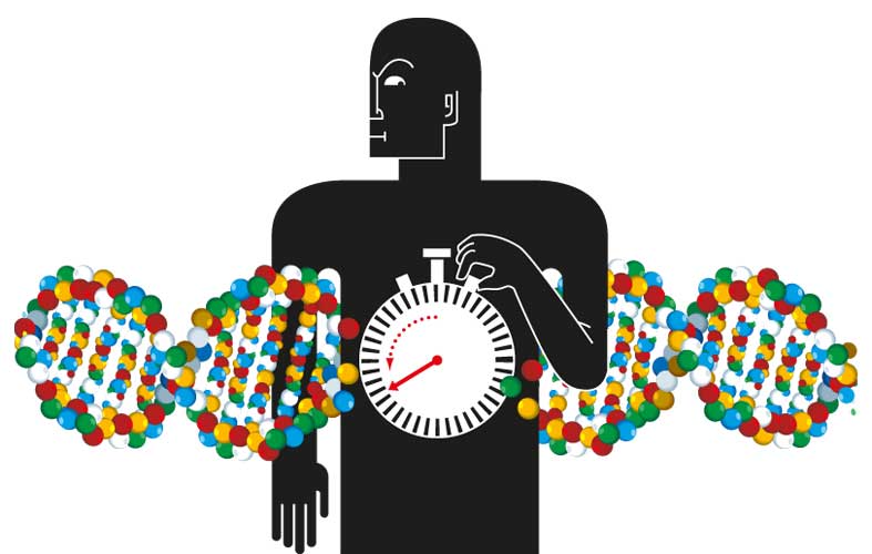 Aminoácidos interestelares