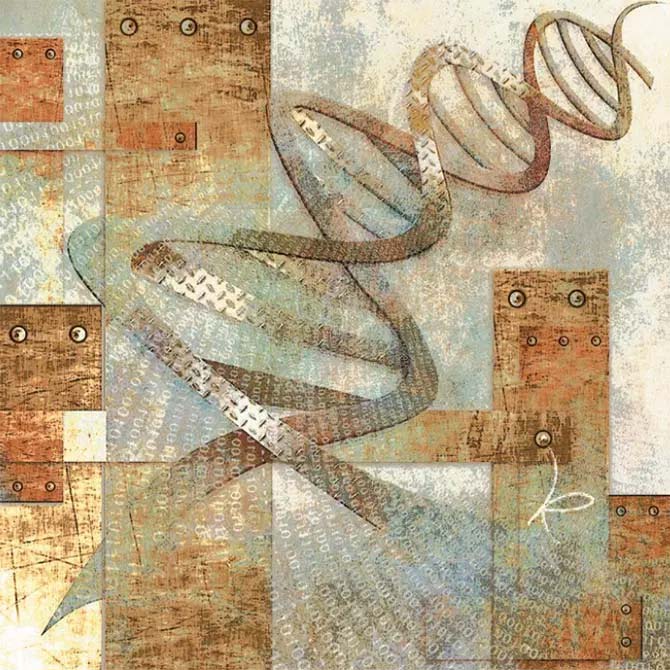 La mejor mitad: los cromosomas sexuales en acción