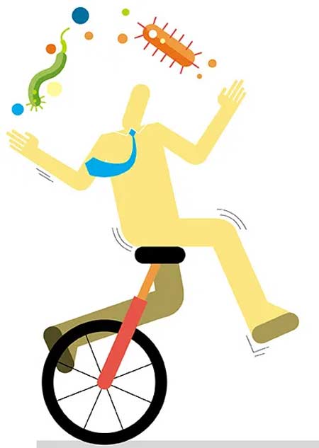 Bacterias: ni mucho ni poco