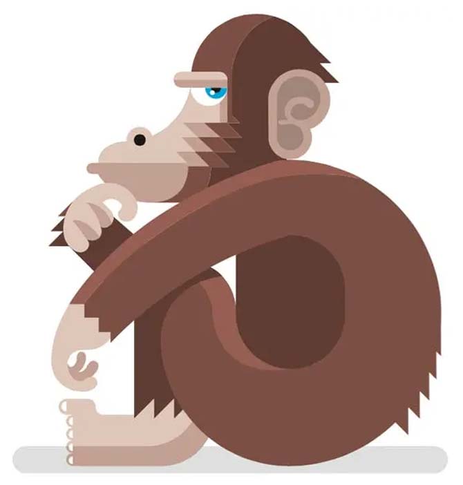 Empatía y emociones morales en mamíferos