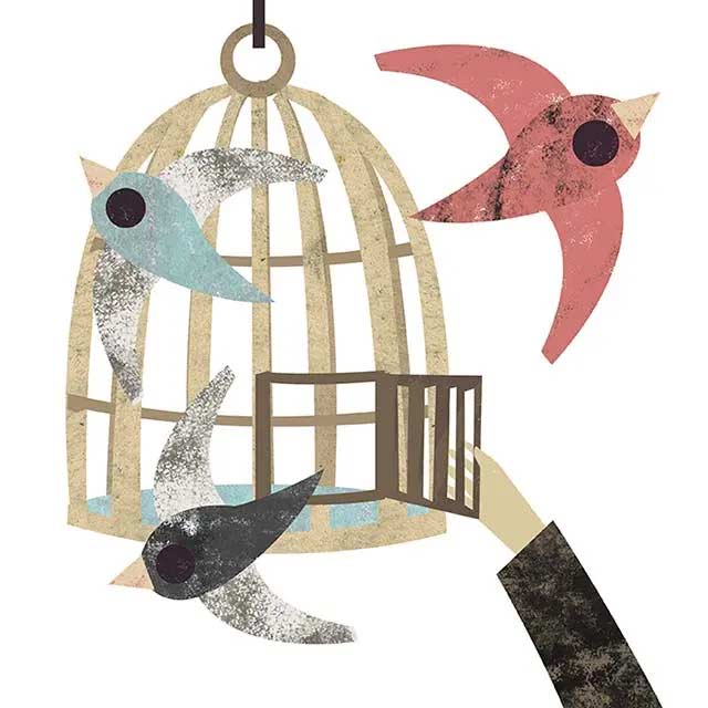 Diario de un bobo de patas azules