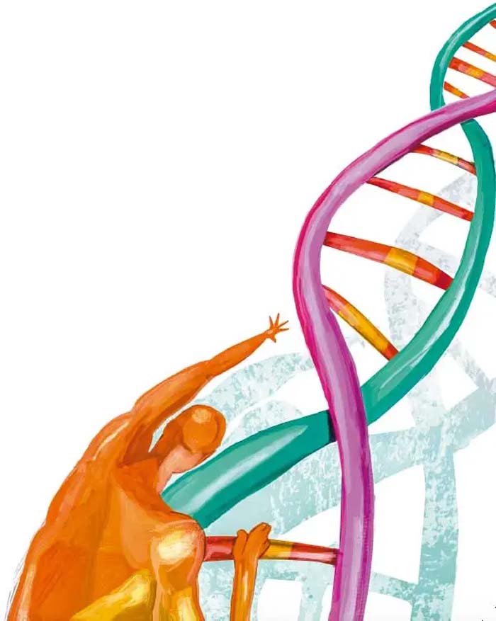 Terapia génica: un coliseo de madera