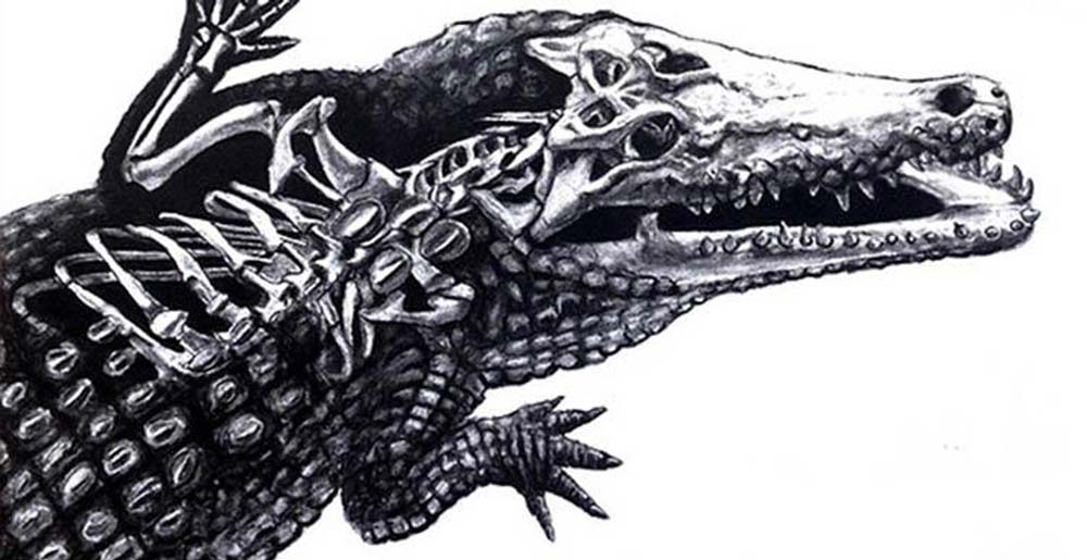 Ilustración: Ana J. Bellido