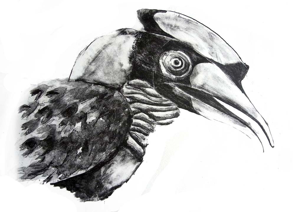 Extinción animal II: Last chance to see (Mañana no estarán), de Stephen Fry