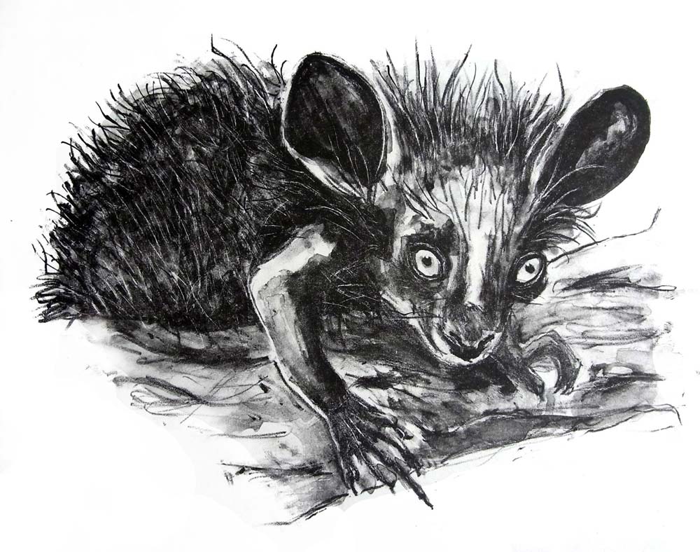 Ilustración: Ana J. Bellido