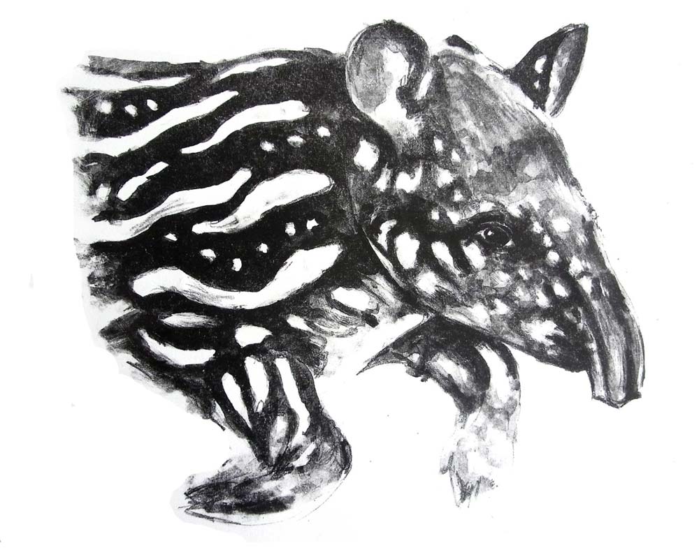 Ilustración: Ana J. Bellido