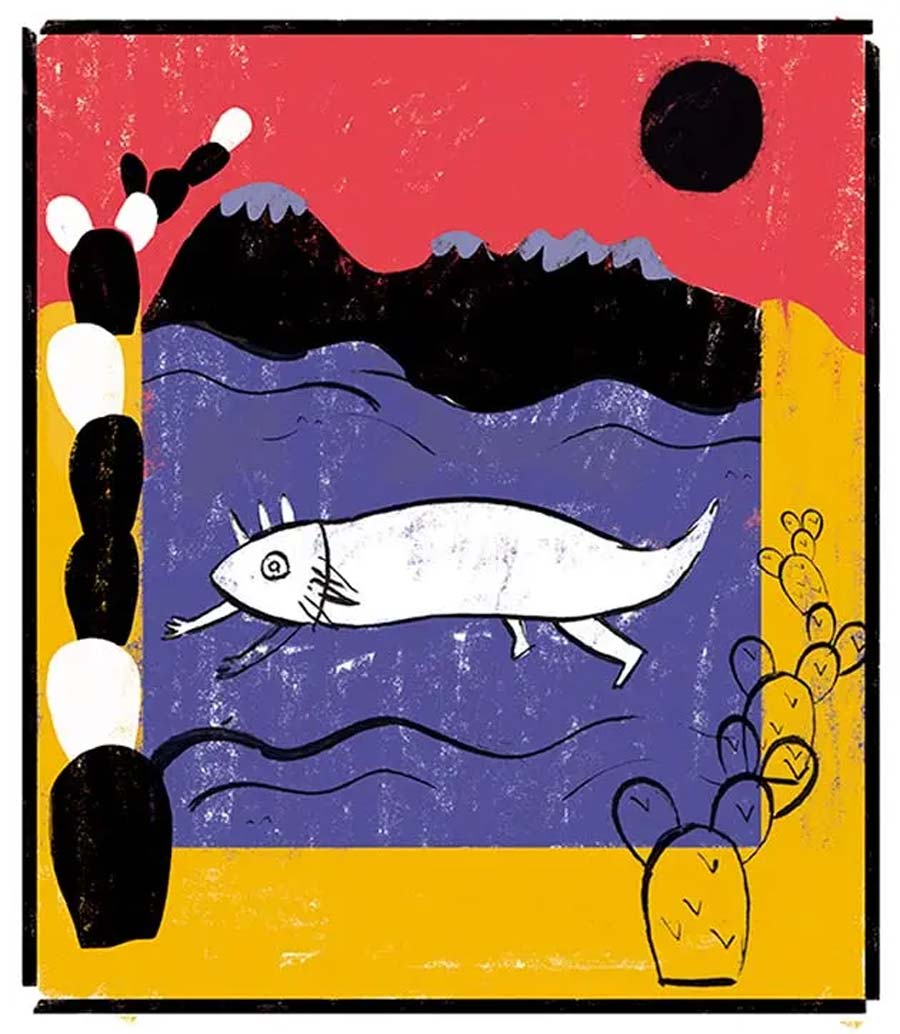 El regreso de los ajolotes a Xochimilco: un viaje peligroso cuando se hace sin ciencia