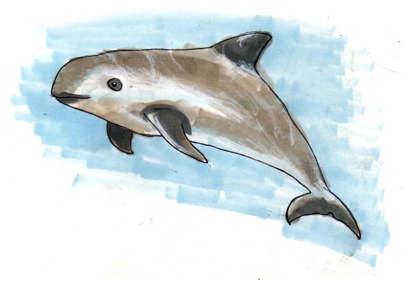 Ilustración: Ana J. Bellido