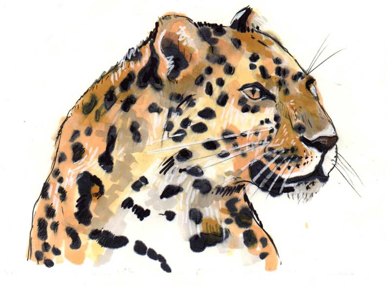 Extinción animal III: Last chance to see (Mañana no estarán) panorama actual