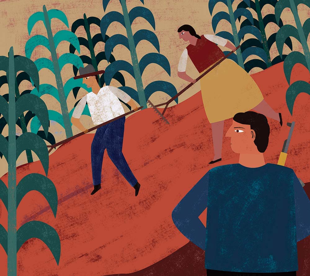 El suelo: la necesidad de encauzar su uso a un manejo sustentable