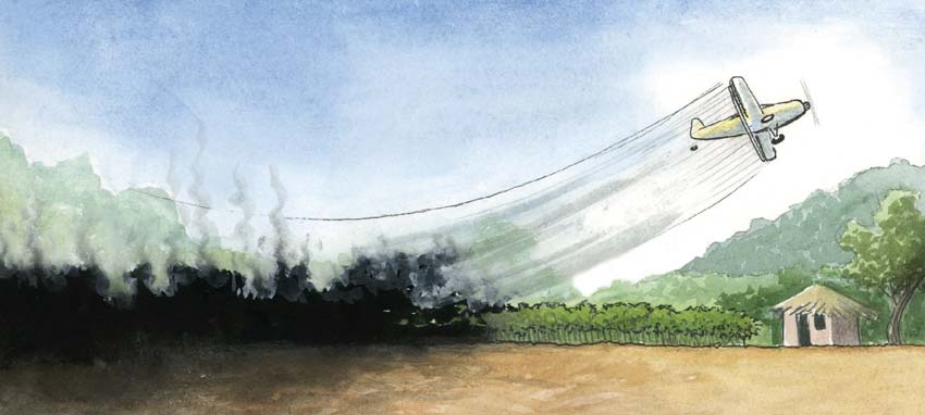 Primavera silenciosa, sesenta años de una petición para salvar la vida