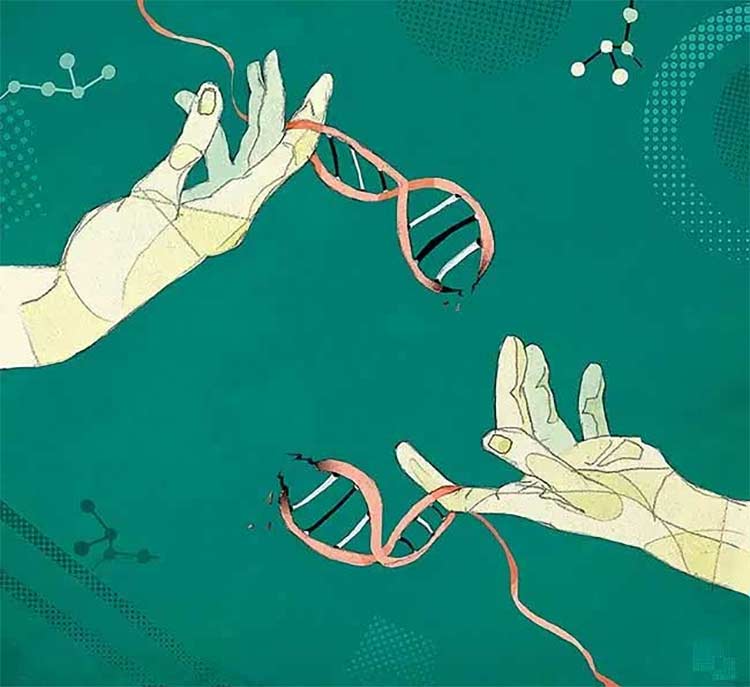 ¿Quién es el que anda ahí? Es CRISPR, es CRISPR (Parte II)