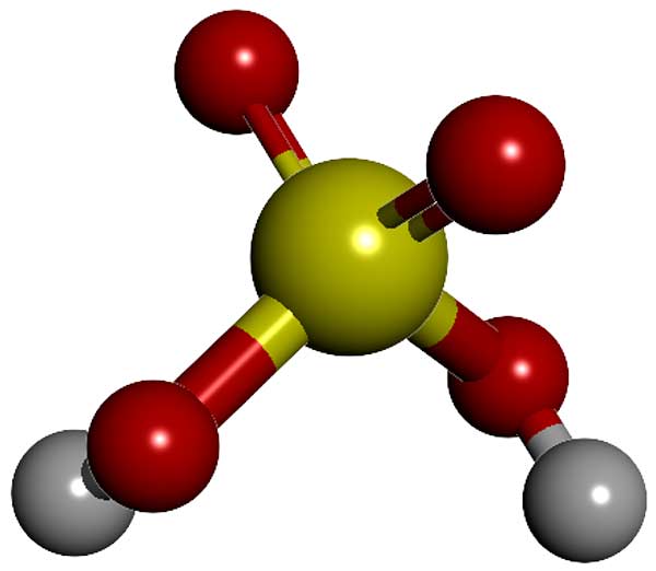 La molécula omnipresente