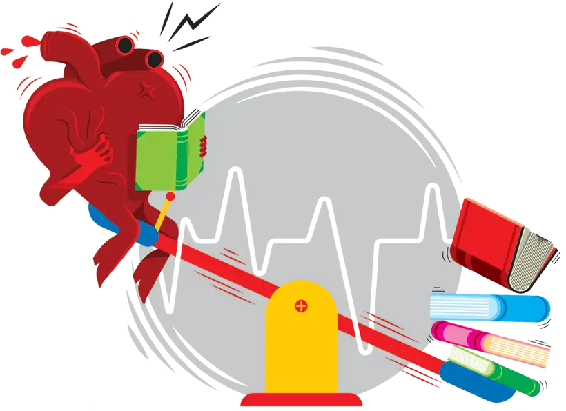 Una historia de amor: origen y evolución del corazón