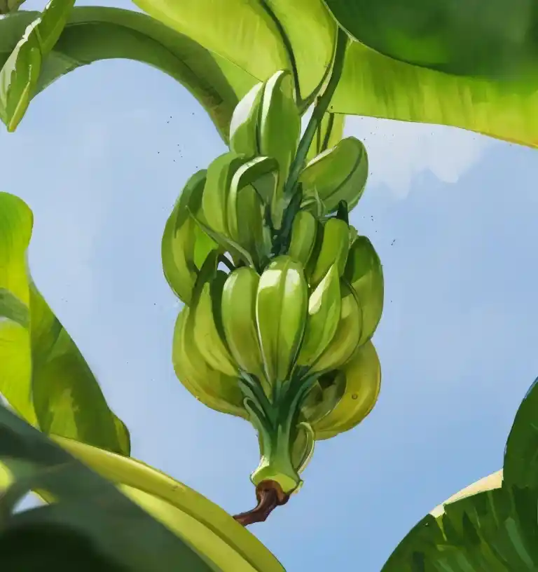 El apocalipsis del plátano Cavendish