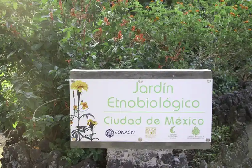 Jardines etnobiológicos: cuartel de los saberes