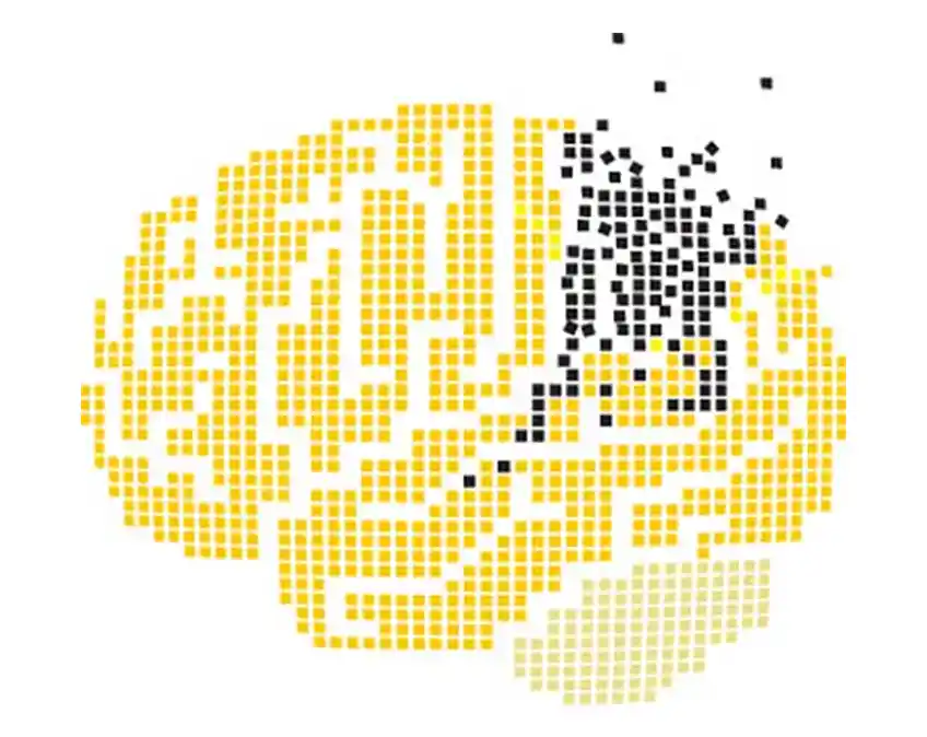 ¿Existe el caos en el cáncer?