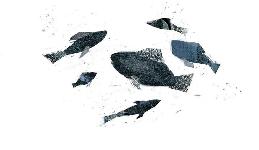 Los grandes árboles del mar