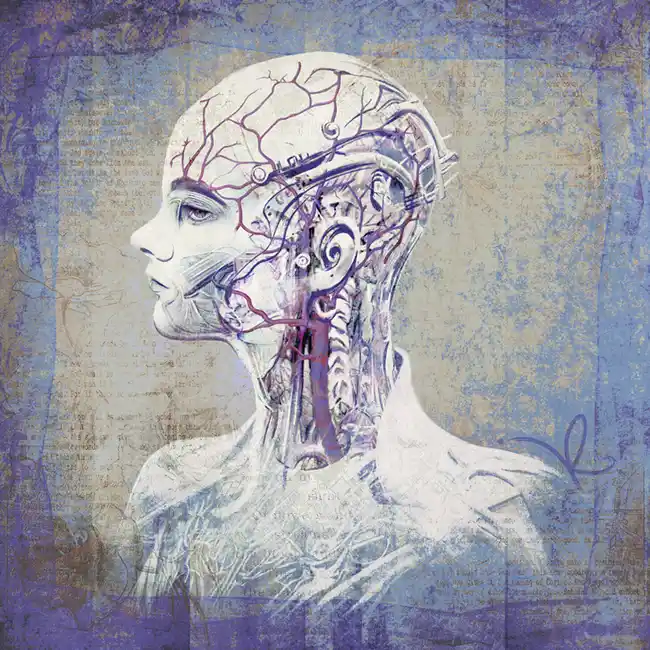 La gran metáfora del cerebro