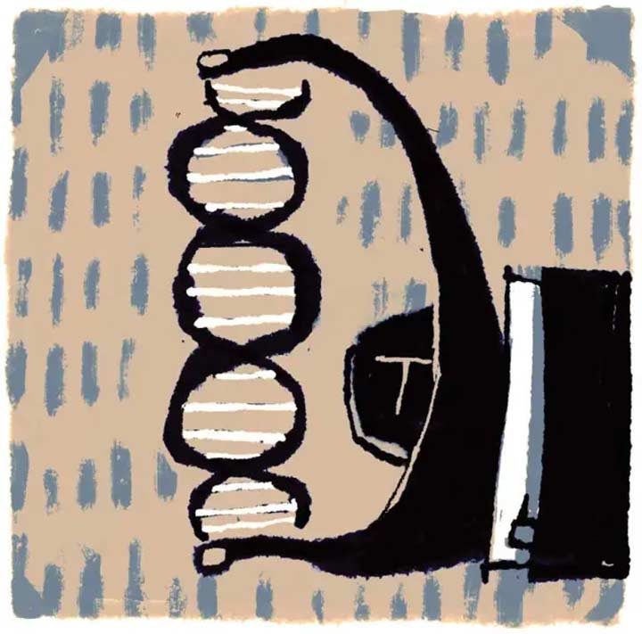 La epigenética y los factores sociales