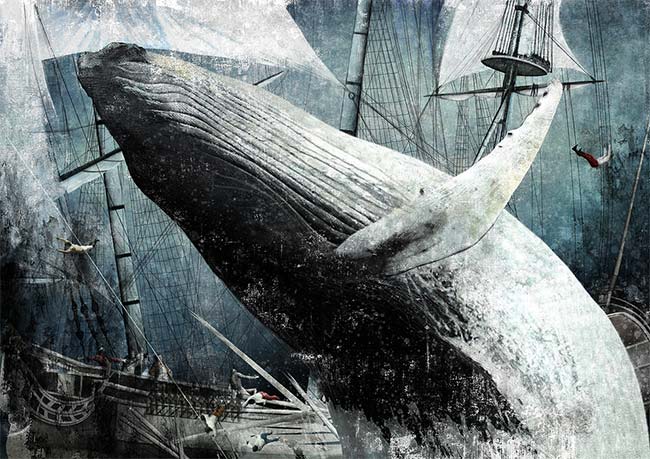 Cicatrices en el ADN de las ballenas