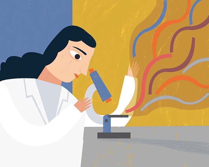 ¿Todas las lombrices son iguales?