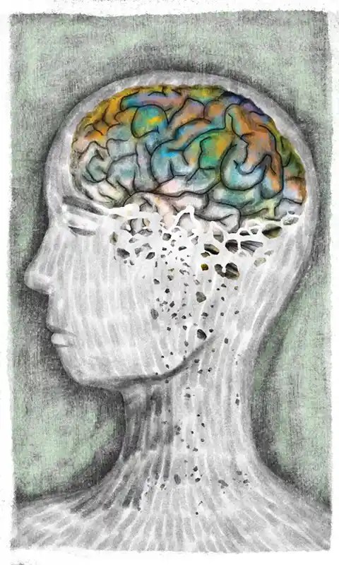 Es otoño en el bosque cerebral