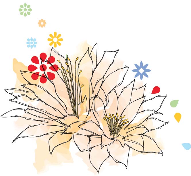 Flores de México: diversidad, cultura y economía