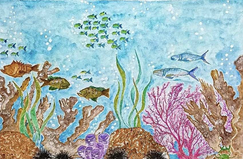 Una nota disonante en la orquesta del río